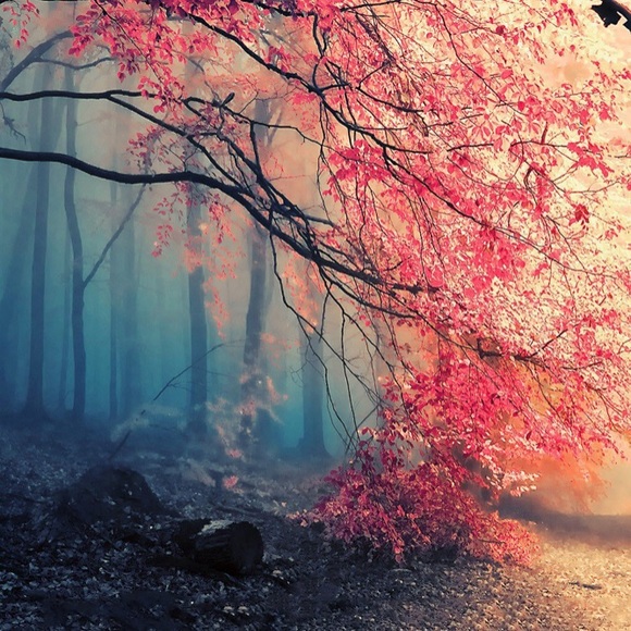 Meet your Posher, Alex - Picture 1 of 1